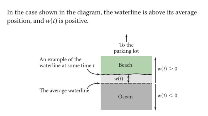 In the case shown in the diagram, the waterline is above its average
position, and w(t) is positive.
To the
parking lot
An example of the
waterline at some time t
Beach
w(t) > 0
w(t)
The average waterliné
Ocean
|w(t) < 0

