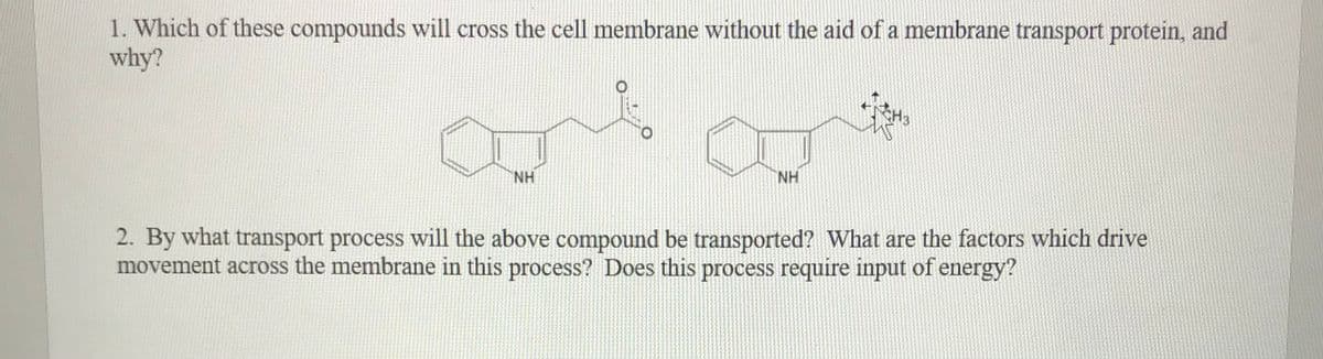 1. Which of these compounds will cross the cell membrane without the aid of a membrane transport protein, and
why?
H3
NH
NH
2. By what transport process will the above compound be transported? What are the factors which drive
movement across the membrane in this process? Does this process require input of energy?

