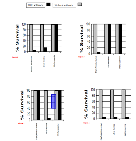 With antibiotic
Without antibiotic
Figure 1
nane mads
nane ares
3 8 8 9 a °
1 % Survival
1 % Survival
manesnar
nano n ds
8 8 8 S 2 °
% Survival
| % Survival
