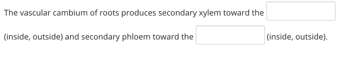 The vascular cambium of roots produces secondary xylem toward the
(inside, outside) and secondary phloem toward the
|(inside, outside).
