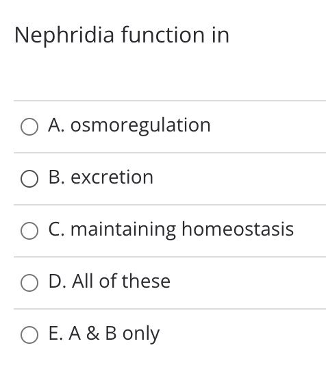 Nephridia function in
O A. osmoregulation
O B. excretion
C. maintaining homeostasis
O D. All of these
O E. A & B only

