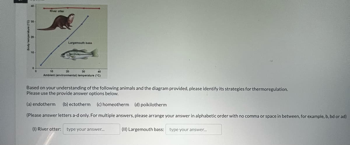 River otter
Largemouth bass
10
10
30
40
Amblent (environmental) temperature ("C)
Based on your understanding of the following animals and the diagram provided, please identify its strategies for thermoregulation.
Please use the provide answer options below.
(a) endotherm
(b) ectotherm
(c) homeotherm (d) poikilotherm
(Please answer letters a-d only. For multiple answers, please arrange your answer in alphabetic order with no comma or space in between, for example, b, bd or ad)
(1) River otter: type your answer.
(1I) Largemouth bass:
type your answer.
Body temperature ("9

