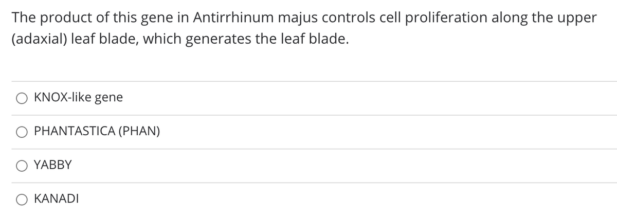 The product of this gene in Antirrhinum majus controls cell proliferation along the upper
(adaxial) leaf blade, which generates the leaf blade.
KNOX-like gene
PHANTASTICA (PHAN)
YABBY
KANADI
