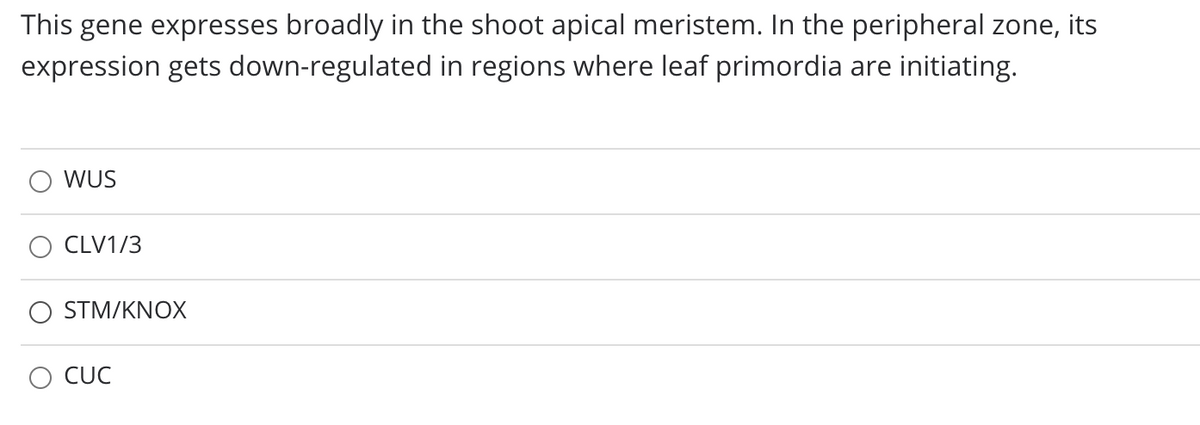 This gene expresses broadly in the shoot apical meristem. In the peripheral zone, its
expression gets down-regulated in regions where leaf primordia are initiating.
WUS
CLV1/3
STM/KNOX
O CUC
