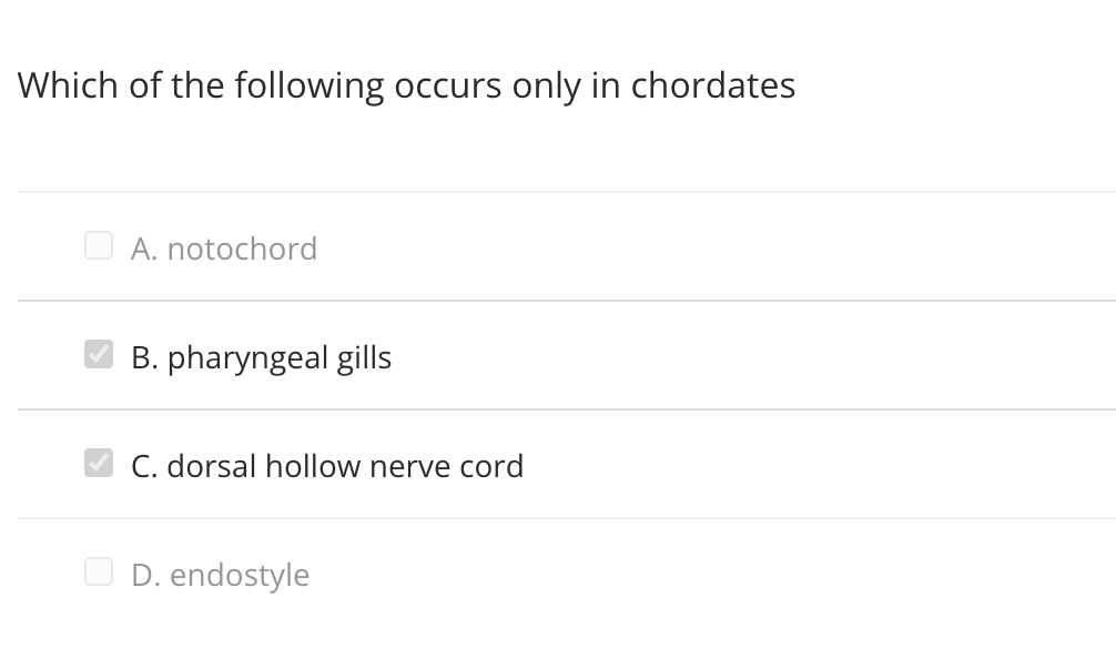 Which of the following occurs only in chordates
A. notochord
B. pharyngeal gills
C. dorsal hollow nerve cord
D. endostyle
