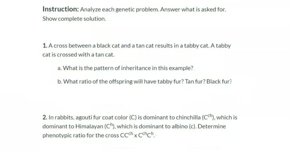 Instruction: Analyze each genetic problem. Answer what is asked for.
Show complete solution.
1. A cross between a black cat and a tan cat results in a tabby cat. A tabby
cat is crossed with a tan cat.
a. What is the pattern of inheritance in this example?
b. What ratio of the offspring will have tabby fur? Tan fur? Black fur?
2. In rabbits, agouti fur coat color (C) is dominant to chinchilla (Cch), which is
dominant to Himalayan (C"), which is dominant to albino (c). Determine
phenotypic ratio for the cross Ccch x Cchch.
