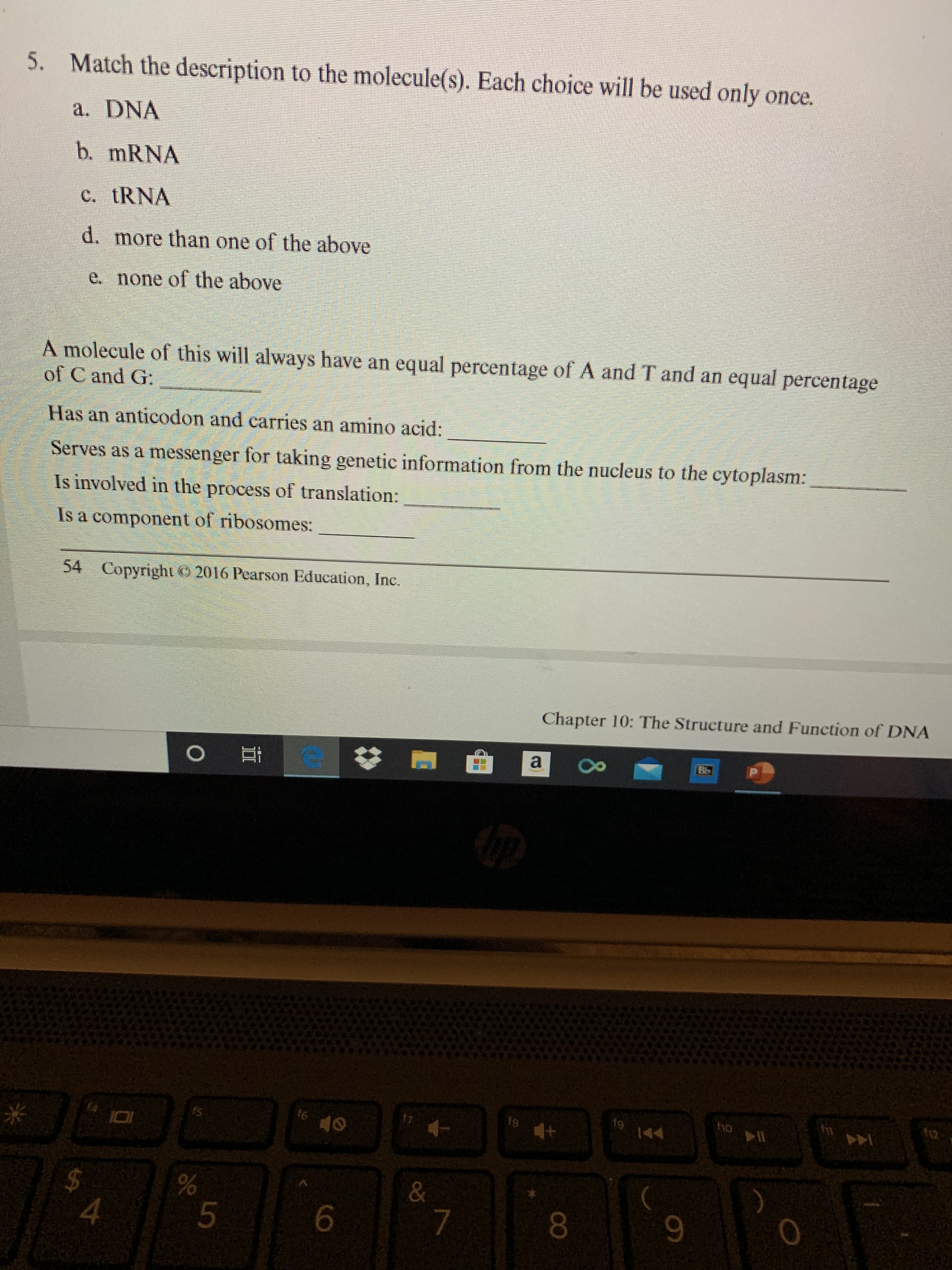 5. Match the description to the molecule(s). Each choice will be used only once.
a. DNA
b. mRNA
C. tRNA
d. more than one of the above
e. none of the above
A molecule of this will always have an equal percentage of A and T and an equal percentage
of C and G:
Has an anticodon and carries an amino acid:
Serves as a messenger for taking genetic information from the nucleus to the cytoplasm:
Is involved in the process of translation:
Is a component of ribosomes:
54 Copyright 2016 Pearson Education, Inc.
Chapter 10: The Structure and Function of DNA
WATS
f12
16
f7
18
+1
f9
10
%24
4.
8
5.
