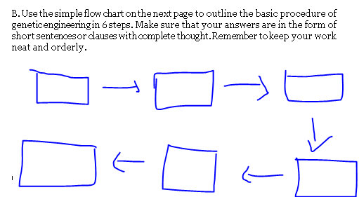 B. Use the simple flow chart on the next page to outline the basic procedure of
geneticengineeringin 6steps. Make sure that your answers are in the form of
short sentencesor clauses with oomplete thought.Remember tokeep your work
neat and orderly.
