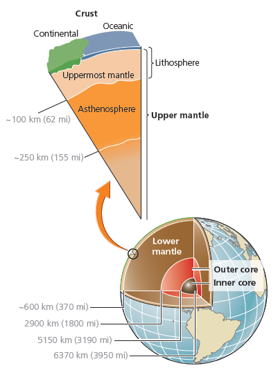 Crust
Oceanic
Continental
Lithosphere
Uppermost mantle
Asthenosphere
Upper mantle
- 100 km (62 mi)
-250 km (155 mi)-
Lower
mantle
Outer core
Inner core
-600 km (370 mi).
2900 km (1800 mi)-
5150 km (3190 mi)
6370 km (3950 mi)
