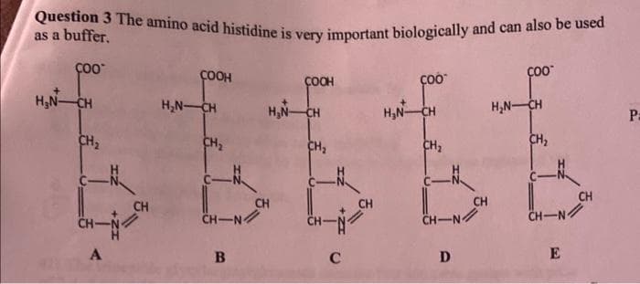 Question 3 The amino acid histidine is very important biologically and can also be used
as a buffer.
COO™
H₂N- CH
CH₂
CH-
A
CH
COOH
H₂N-CH
CH₂
CH-N
B
COOH
H₂N-CH
CH
CH₂
CH-N
C
CH
COO™
H₂N-CH
CH₂
CH-N
D
CH
COO™
H₂N-CH
CH₂
CH
CH-N/
E
P