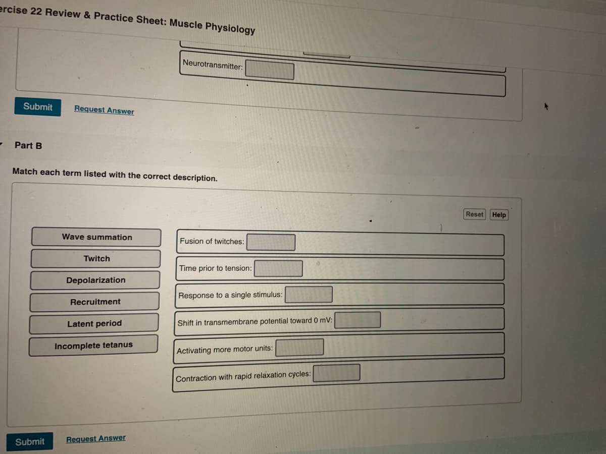 ercise 22 Review & Practice Sheet: Muscle Physiology
Neurotransmitter:
Submit
Request Answer
Part B
Match each term listed with the correct description.
Reset Help
Wave summation
Fusion of twitches:
Twitch
Time prior to tension:
Depolarization
Response to a single stimulus:
Recruitment
Latent period
Shift in transmembrane potential toward 0 mV:
Incomplete tetanus
Activating more motor units:
Contraction with rapid relaxation cycles:
Submit
Request Answer
