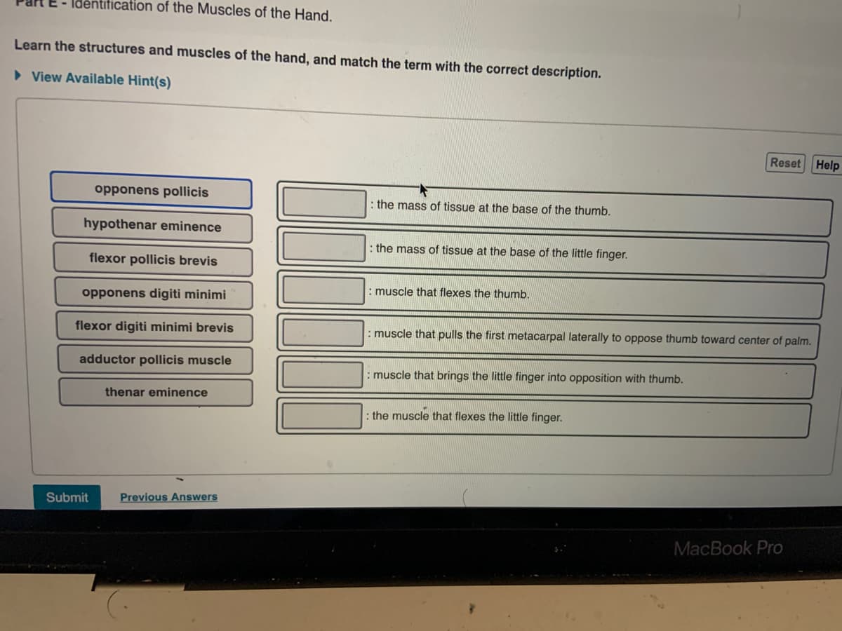 Idėntification of the Muscles of the Hand.
Learn the structures and muscles of the hand, and match the term with the correct description.
> View Available Hint(s)
Reset
Help
opponens pollicis
: the mass of tissue at the base of the thumb.
hypothenar eminence
: the mass of tissue at the base of the little finger.
flexor pollicis brevis
: muscle that flexes the thumb.
opponens digiti minimi
flexor digiti minimi brevis
: muscle that pulls the first metacarpal laterally to oppose thumb toward center of palm.
adductor pollicis muscle
: muscle that brings the little finger into opposition with thumb.
thenar eminence
: the muscle that flexes the little finger.
Submit
Previous Answers
MacBook Pro
