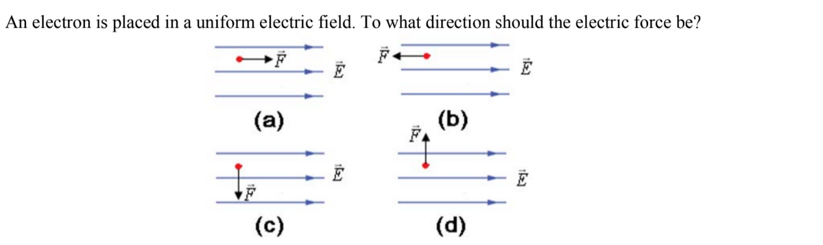An electron is placed in a uniform electric field. To what direction should the electric force be?
(a)
(b)
(c)
(d)
