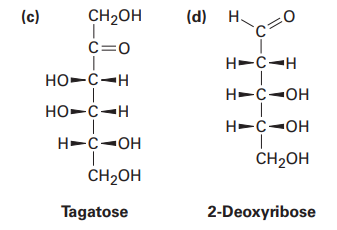 (c)
CH2OH
(d) Н.
c=0
H-C-H
HO-C-H
H-C-OH
HO-C-H
H-C-OH
H-C-OH
CH2OH
CH2OH
Tagatose
2-Deoxyribose
