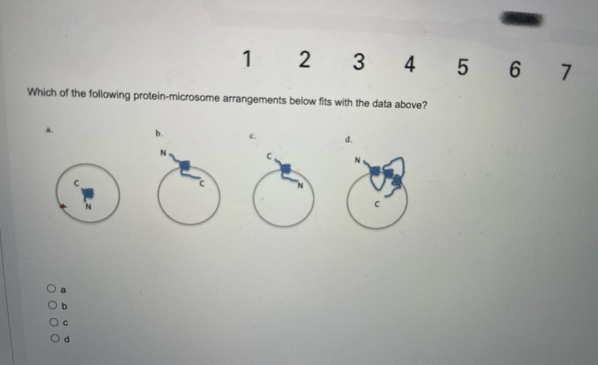 1 2 3 4 5 6 7
Which of the following protein-microsome arrangements below fits with the data above?
b.
d.
O O O O
