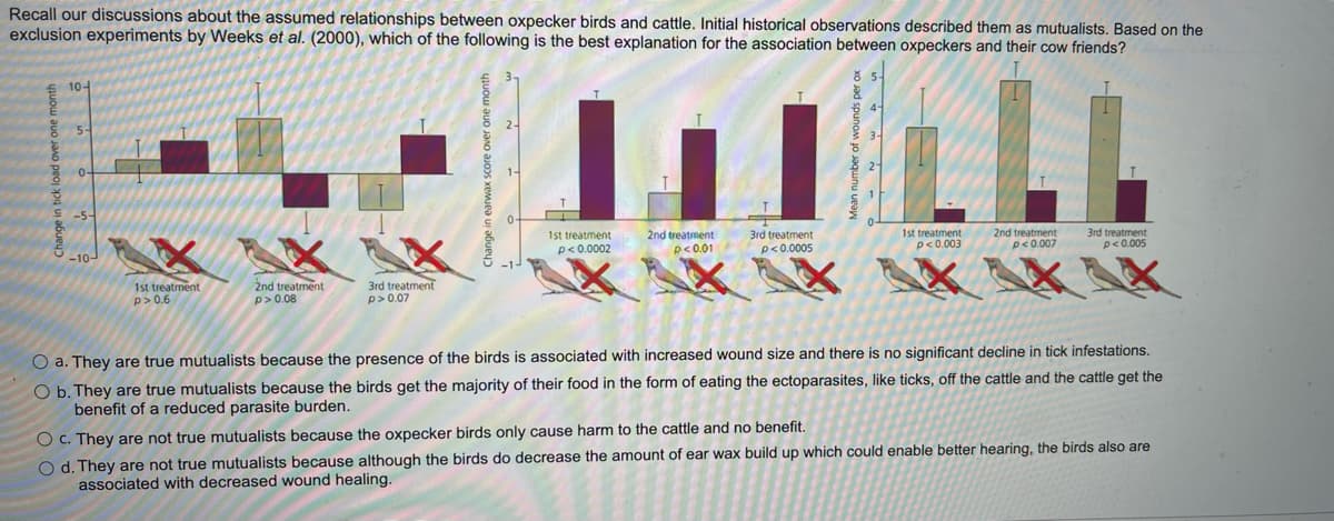 Recall our discussions about the assumed relationships between oxpecker birds and cattle. Initial historical observations described them as mutualists. Based on the
exclusion experiments by Weeks et al. (2000), which of the following is the best explanation for the association between oxpeckers and their cow friends?
10-
E -5-
1st treatment
p<0.0002
2nd treatment
p<0.01
1st treatment
p<0.003
2nd treatment
p<0.007
3rd treatment
p<0.005
3rd treatment
p<0.0005
-10-
1st treatment
p> 0.6
2nd treatment
p> 0.08
3rd treatment
p>0.07
O a. They are true mutualists because the presence of the birds is associated with increased wound size and there is no significant decline in tick infestations.
O b. They are true mutualists because the birds get the majority of their food in the form of eating the ectoparasites, like ticks, off the cattle and the cattle get the
benefit of a reduced parasite burden.
O c. They are not true mutualists because the oxpecker birds only cause harm to the cattle and no benefit.
O d. They are not true mutualists because although the birds do decrease the amount of ear wax build up which could enable better hearing, the birds also are
associated with decreased wound healing.
