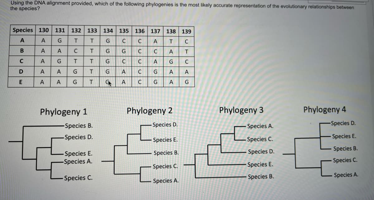Using the DNA alignment provided, which of the following phylogenies is the most likely accurate representation of the evolutionary relationships between
the species?
Species 130 131
132 133
134 135 136 137
138 139
A
A
C
C
A
T
C
C
C
C
А
C
A
T
C
C
A
C
A
А
C
A
A
A
T
G
А
Phylogeny 1
Phylogeny 2
Phylogeny 3
Phylogeny 4
-Species B.
Species D.
Species A.
-Species D.
-Species D.
Species E.
Species C.
Species E.
Species B.
Species D.
Species E.
-Species A.
Species B.
Species C.
Species C.
Species E.
Species C.
Species B.
Species A.
Species A.
GG
GAGA<
