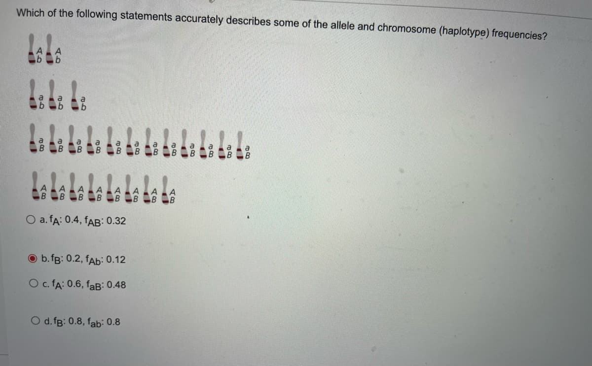 Which of the following statements accurately describes some of the allele and chromosome (haplotype) frequencies?
B
O a. fA: 0.4, fAB: 0.32
O b.fg: 0.2, fAb: 0.12
O c. fA: 0.6, faB: 0.48
O d. fB: 0.8, fab: 0.8
AB
