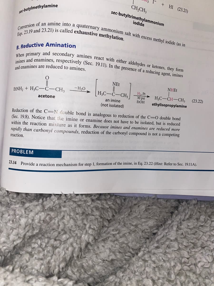 + HI (23.21)
Eqs. 23.19 and 23.21) is called exhaustive methylation.
imines and enamines, respectively (Sec. 19.11). In the presence of a reducing agent, imines
When primary and secondary amines react with either aldehydes or ketones, they form
Conversion of an amine into a quaternary ammonium salt with excess methyl iodide (as in
CH;CH3
sec-butyltrimethylammonium
sec-butylmethylamine
iodide
B. Reductive Amination
and enamines are reduced to amines.
NEt
NHE.
-H2O
H2, Pt
30 psi
ELOH
E:NH2 + H3C-C-CH3
H3C-C-CH3
H;C-CH-CH3
(23.22)
an imine
(not isolated)
acetone
ethylisopropylamine
Reduction of the C=N double bond is analogous to reduction of the C=0 double bond
(Sec. 19.8). Notice that te imine or enamine does not have to be isolated, but is reduced
within the reaction mixture as it forms. Because imines and enamines are reduced more
rapidly than carbonyl compounds, reduction of the carbonyl compound is not a competing
reaction.
PROBLEM
23.14 Provide a reaction mechanism for step 1, formation of the imine, in Eq. 23.22 (Hint: Refer to Sec. 19.11A).
