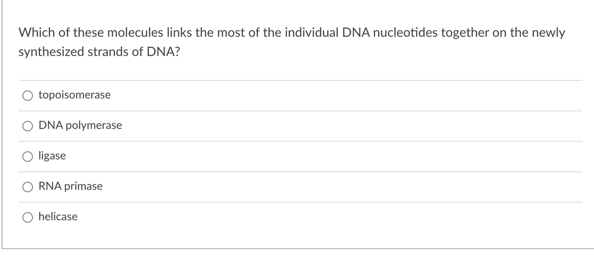 Which of these molecules links the most of the individual DNA nucleotides together on the newly
synthesized strands of DNA?
topoisomerase
DNA polymerase
ligase
RNA primase
helicase
