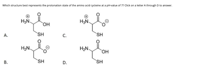 Which structure best represents the protonation state of the amino acid cycteine at a pH-value of 7? Click on a letter A through D to answer.
H3N.
H3N.
но,
А.
SH
с.
SH
H2N.
H2N
В.
SH
D.
SH
