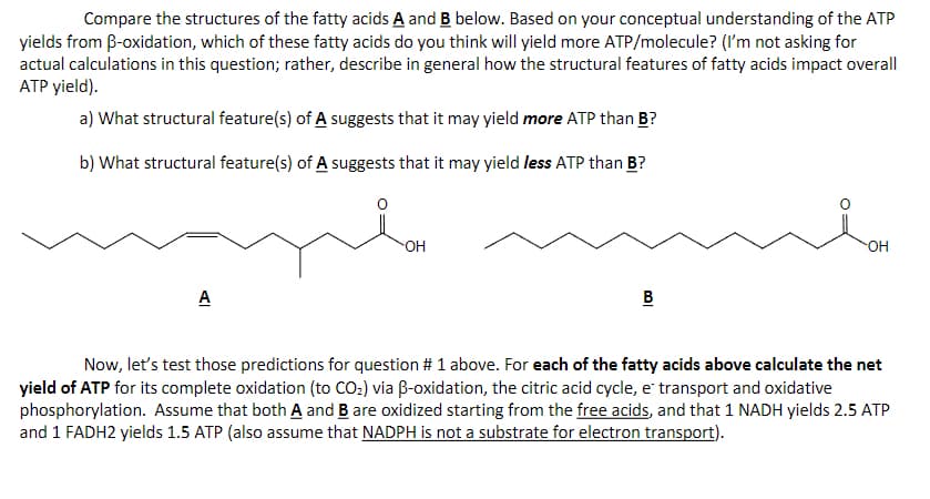 Compare the structures of the fatty acids A and B below. Based on your conceptual understanding of the ATP
yields from B-oxidation, which of these fatty acids do you think will yield more ATP/molecule? (I'm not asking for
actual calculations in this question; rather, describe in general how the structural features of fatty acids impact overall
ATP yield).
a) What structural feature(s) of A suggests that it may yield more ATP than B?
b) What structural feature(s) of A suggests that it may yield less ATP than B?
A
OH
B
OH
Now, let's test those predictions for question # 1 above. For each of the fatty acids above calculate the net
yield of ATP for its complete oxidation (to CO₂) via B-oxidation, the citric acid cycle, e transport and oxidative
phosphorylation. Assume that both A and B are oxidized starting from the free acids, and that 1 NADH yields 2.5 ATP
and 1 FADH2 yields 1.5 ATP (also assume that NADPH is not a substrate for electron transport).