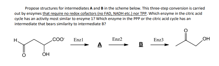 Propose structures for intermediates A and B in the scheme below. This three-step conversion is carried
out by enzymes that require no redox cofactors (no FAD, NADH etc.) nor TPP. Which enzyme in the citric acid
cycle has an activity most similar to enzyme 1? Which enzyme in the PPP or the citric acid cycle has an
intermediate that bears similarity to intermediate B?
H
OH
COO™
Enzl
A
Enz2
B
Enz3
OH