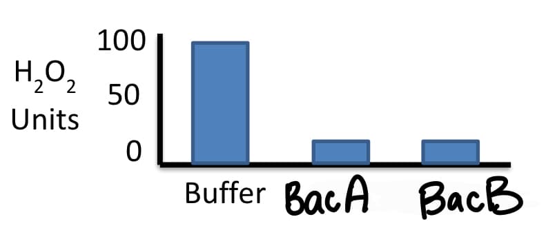 H₂O₂
2
Units
100
50
0
Buffer BacA BacB