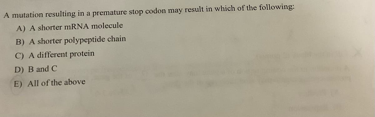 A mutation resulting in a premature stop codon may result in which of the following:
A) A shorter mRNA molecule
B) A shorter polypeptide chain
C) A different protein
D) B and C
E) All of the above