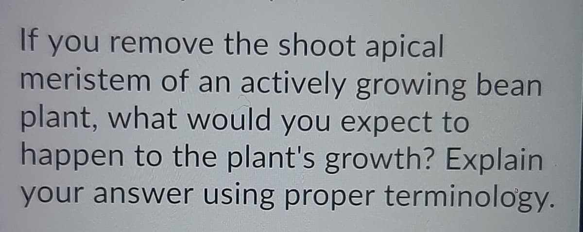 If you remove the shoot apical
meristem of an actively growing bean
plant, what would you expect to
happen to the plant's growth? Explain
your answer using proper terminology.
