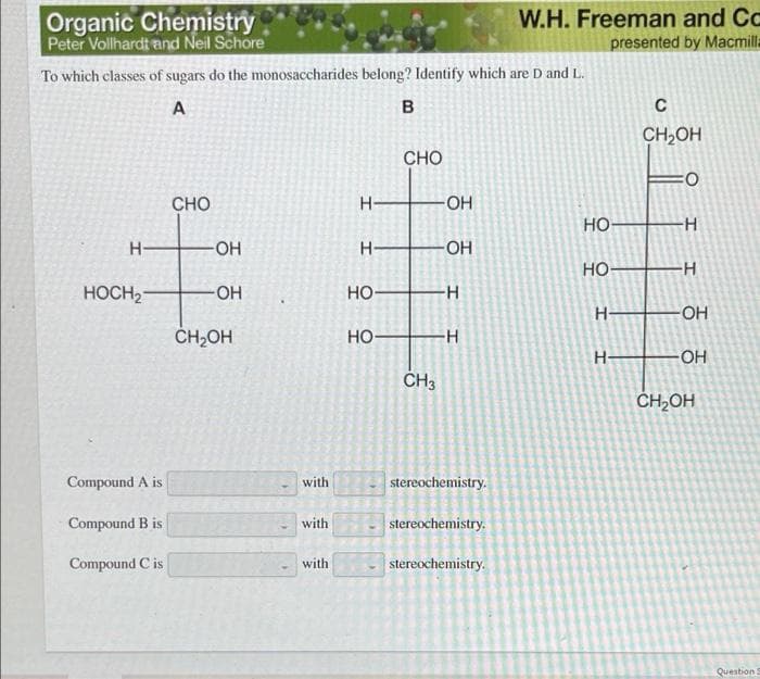 Organic Chemistry
Peter Vollhardt and Neil Schore
W.H. Freeman and Cc
presented by Macmilla
To which classes of sugars do the monosaccharides belong? Identify which are D and L.
A
CH2OH
CHO
CHO
H-
OH
но-
-H-
H-
-OH
но-
HOCH2
OH
но-
H-
OH
ČH;OH
но-
H-
-OH
CH3
CH,OH
Compound A is
with
stereochemistry.
Compound B is
with
stereochemistry.
Compound C is
with
stereochemistry.
Question
우오

