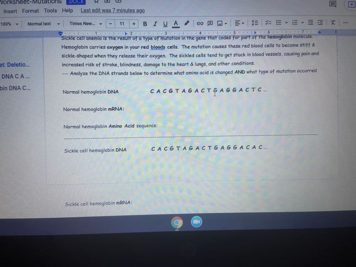 Vorksheet-Mutations
.DOCX
目
Insert Format Tools Help
Last edit was 7 minutes ago
BIUA
9四回~|川- |三| = m<市、 m m一x
100% - Normal text
| Times New...
11
1.
1 3
1 4
Sickle cell anemia is the result of a type of mutation in the gene that codes for part of the hemoglobin molecule.
Hemoglobin carries oxygen in your red bloods cells. The mutation causes these red blood cells to become stiff &
sickle-shaped when they release their oxygen. The sickled cells tend to get stuck in blood vessels, causing pain and
et: Deletio..
increased risk of stroke, blindness, damage to the heart & lungs, and other conditions.
DNA CA ..
Analyze the DNA strands below to determine what amino acid is changed AND what type of mutation occurred
bin DNA C.
CACGTAG
ACT AGGACTC..
Normal hemoglobin DNA
Normal hemoglobin MRNA:
Normal hemoglobin Amino Acid sequence:
Sickle cell hemoglobin DNA
CACGTAGACTGAGGACAC..
Sickle cell hemoglobin MRNA:
