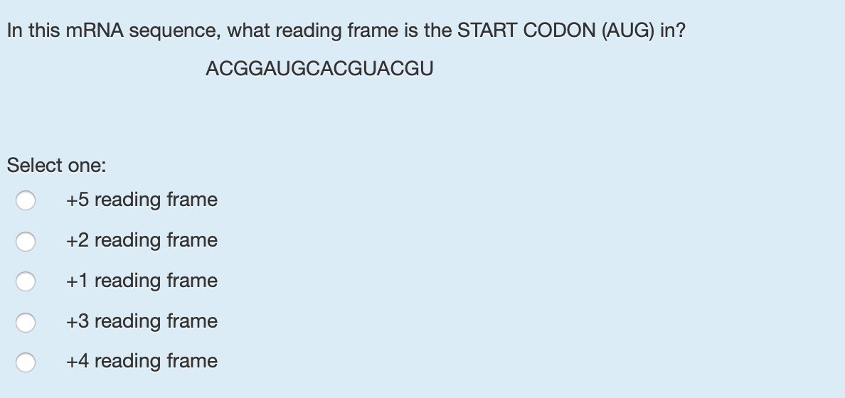 In this MRNA sequence, what reading frame is the START CODON (AUG) in?
ACGGAUGCACGUACGU
Select one:
+5 reading frame
+2 reading frame
+1 reading frame
+3 reading frame
+4 reading frame
