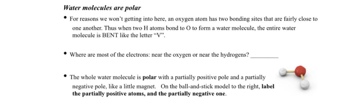 Water molecules are polar
• For reasons we won't getting into here, an oxygen atom has two bonding sites that are fairly close to
one another. Thus when two H atoms bond to O to form a water molecule, the entire water
molecule is BENT like the letter “V".
• Where are most of the electrons: near the oxygen or near the hydrogens?
The whole water molecule is polar with a partially positive pole and a partially
negative pole, like a little magnet. On the ball-and-stick model to the right, label
the partially positive atoms, and the partially negative one.
