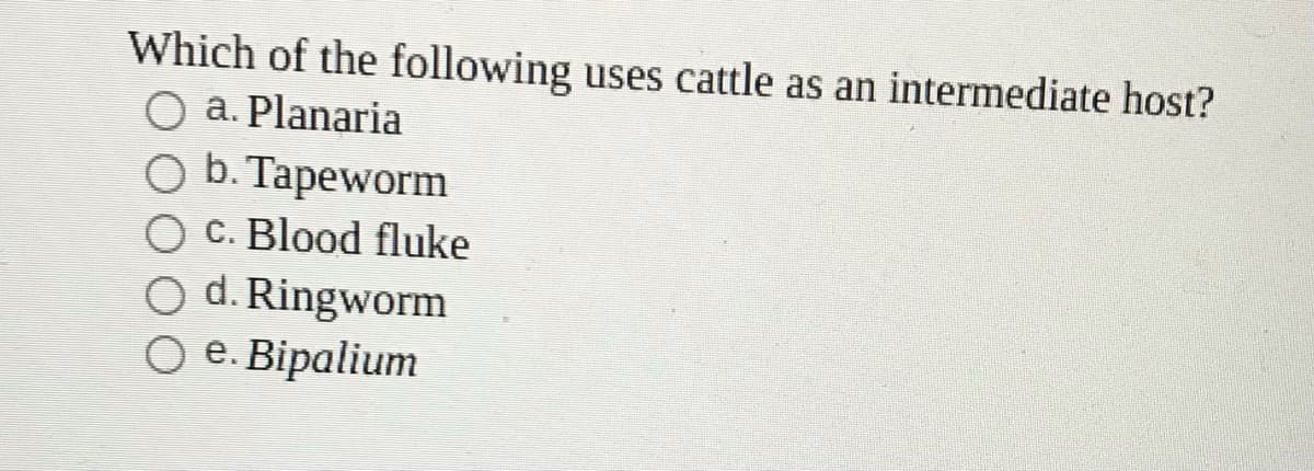 Which of the following uses cattle as an intermediate host?
O a. Planaria
O b. Tapeworm
C. Blood fluke
O d. Ringworm
O e. Bipalium
