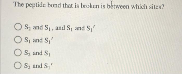 The peptide bond that is broken is between which sites?
S₂ and S₁, and S₁ and S₁'
OS₁ and S₁'
OS₂ and S₁
OS₂ and S₁'