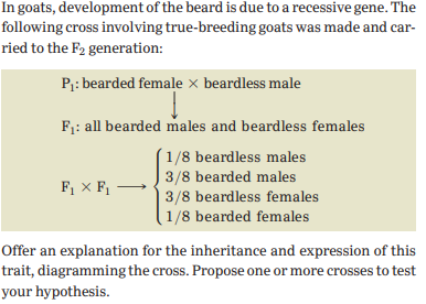 In goats, development of the beard is due to a recessive gene. The
following cross involving true-breeding goats was made and car-
ried to the F2 generation:
P;: bearded female x beardless male
F1: all bearded males and beardless females
´1/8 beardless males
| 3/8 bearded males
3/8 beardless females
1/8 bearded females
F; × F,
Offer an explanation for the inheritance and expression of this
trait, diagramming the cross. Propose one or more crosses to test
your hypothesis.
