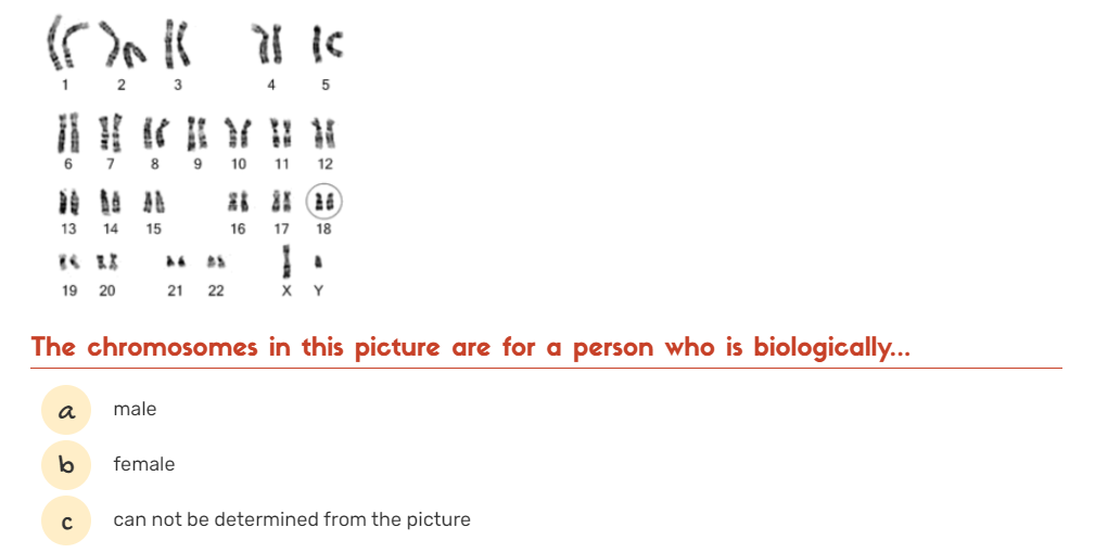 4
8
9
10
11
12
13
14
15
16
17
18
19 20
21
22
X Y
The chromosomes in this picture are for a person who is biologicall.
a
male
female
can not be determined from the picture
