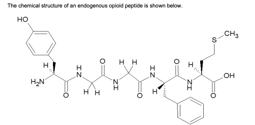 The chemical structure of an endogenous opioid peptide is shown below
HO
CH3
S
H H
H
H
H2N
HO
H H
ZI
I
IZ
ZI
IZ
I
