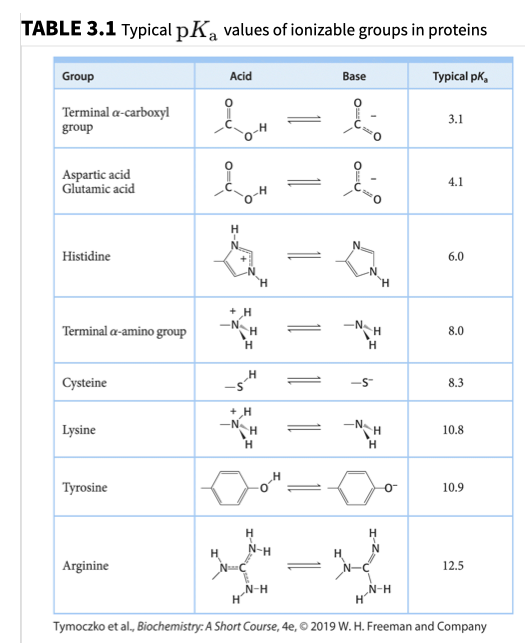 TABLE 3.1 Typical pKa values of ionizable groups in proteins
Group
Base
Typical pk,
Acid
Terminal a-carboxyl
group
3.1
Aspartic acid
Glutamic acid
4.1
H
н
Histidine
6.0
H
H
-N
H
-N
H
Terminal a-amino group
8.0
н
H
S
Cysteine
8.3
H
-N
H
-N
TH
н
Lysine
10.8
Н
H
о
Тугosine
10.9
н
N-H
HJ
Н
Arginine
12.5
N-H
н
N-H
H
Tymoczko et al., Biochemistry: A Short Course, 4e,O 2019 W. H. Freeman and Company
