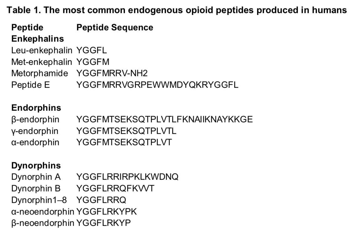 Table 1. The most common endogenous opioid peptides produced in humans
Рeptide
Enkephalins
Leu-enkephalin YGGFL
Met-enkephalin YGGFM
Metorphamide YGGFMRRV-NH2
Peptide E
Peptide Sequence
YGGFMRRVGRPEWWMDYQKRYGGFL
Endorphins
B-endorphin
Y-endorphin
a-endorphin
YGGFMTSEKSQTPLVTLF KNAIIKNAYKKGE
YGGFMTSEKSQTPLVTL
YGGFMTSEKSQTPLVT
Dynorphins
Dynorphin A
Dynorphin B
Dynorphin1-8 YGGFLRRQ
a-neoendorphin YGGFLRKYPK
B-neoendorphin YGGFLRKYP
YGGFLRRIRPKLKWDNQ
YGGFLRRQFKWT
