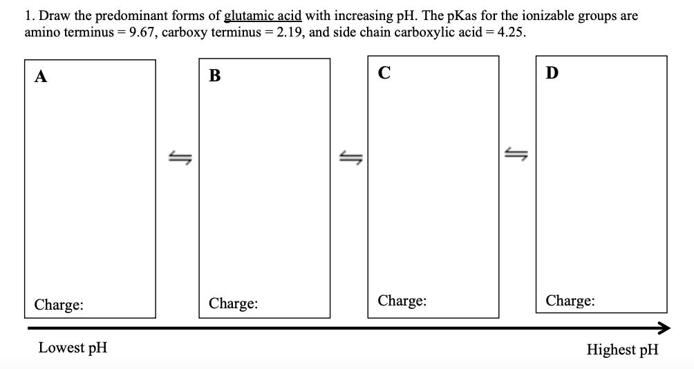 1. Draw the predominant forms of glutamic acid with increasing pH. The pKas for the ionizable groups are
amino terminus = 9.67, carboxy terminus = 2.19, and side chain carboxylic acid = 4.25.
C
D
A
Charge:
Charge:
Charge
Charge
Lowest pH
Highest pH
