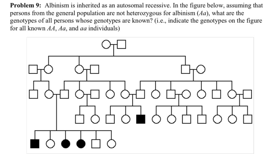 Problem 9: Albinism is inherited as an autosomal recessive. In the figure below, assuming that
persons from the general population are not heterozygous for albinism (Aa), what are the
genotypes of all persons whose genotypes are known? (i.e., indicate the genotypes on the figure
for all known AA, Aa, and aa individuals)
어ㅁ
ㅁㅇㅇㅁ
라이
ㅇㅇㅇㅇㅇㅇㅇㅇㅇㅇㅇㅁ
ㅇㅇㅁㅁ
58
o