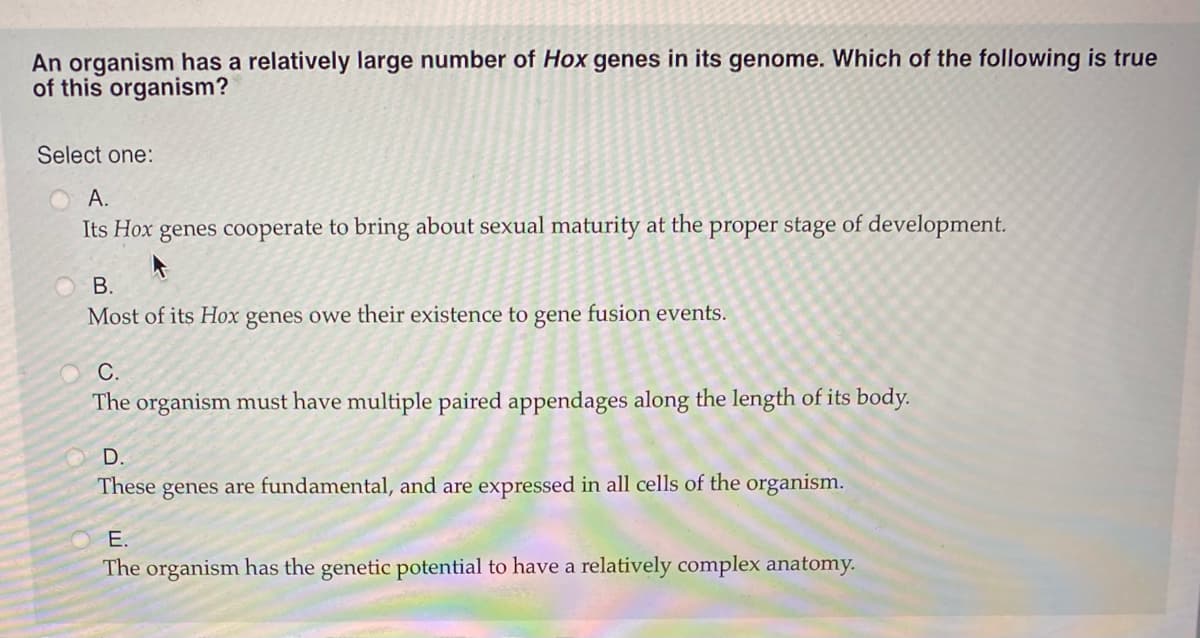 An organism has a relatively large number of Hox genes in its genome. Which of the following is true
of this organism?
Select one:
А.
Its Hox genes cooperate to bring about sexual maturity at the proper stage of development.
В.
Most of its Hox genes owe their existence to gene fusion events.
С.
The organism must have multiple paired appendages along the length of its body.
D.
These genes are fundamental, and are expressed in all cells of the organism.
E.
The organism has the genetic potential to have a relatively complex anatomy.
