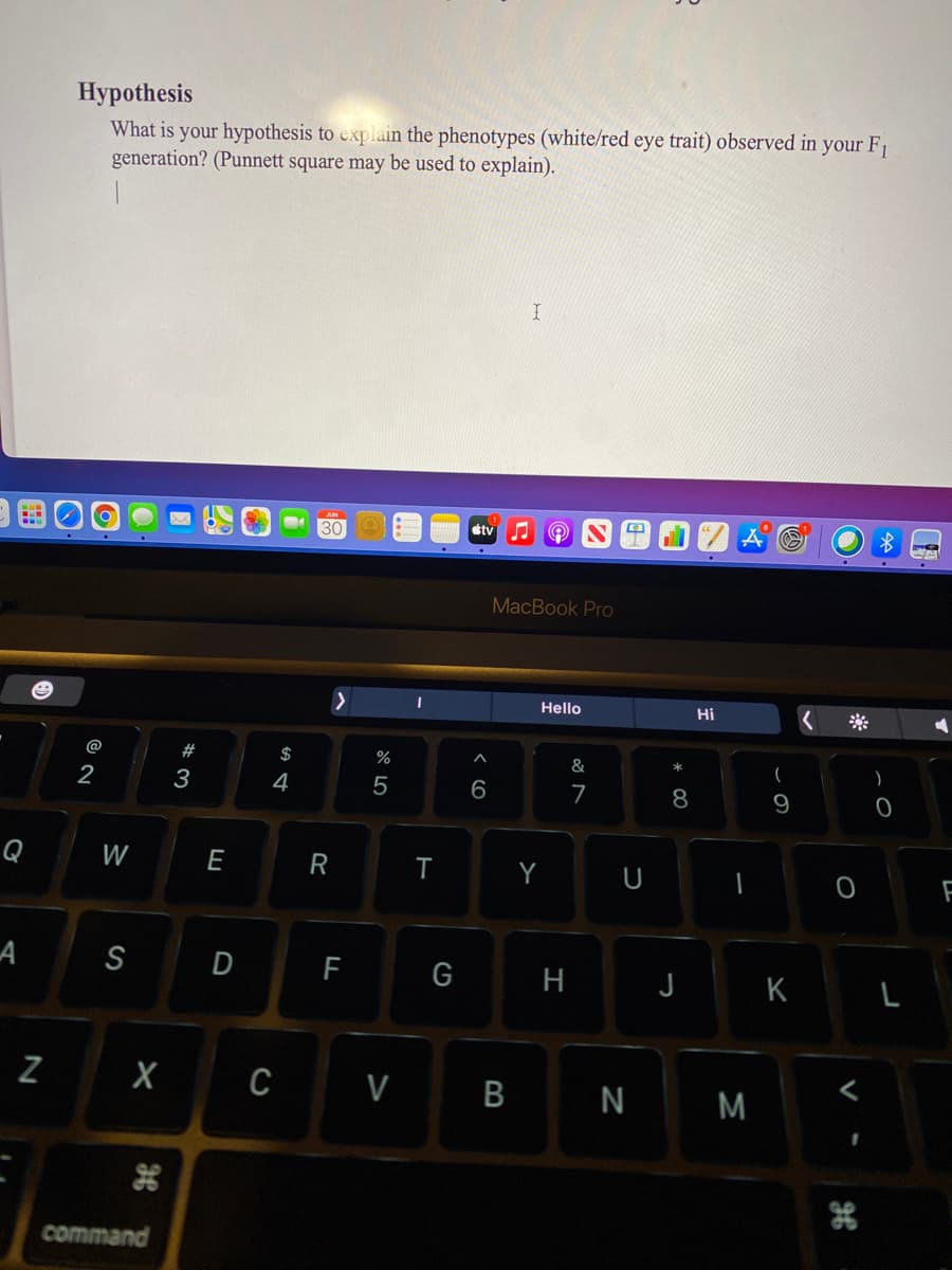 Нуpothesis
What is your hypothesis to explain the phenotypes (white/red eye trait) observed in your F1
generation? (Punnett square may be used to explain).
30
etv
MacBook Pro
Hello
Hi
@
$
%
&
2
3
4
6
7
9
Q
W
E
R
Y
A
S
D
G
J K
H
L
Z
C V
N M
command
* C0
B
