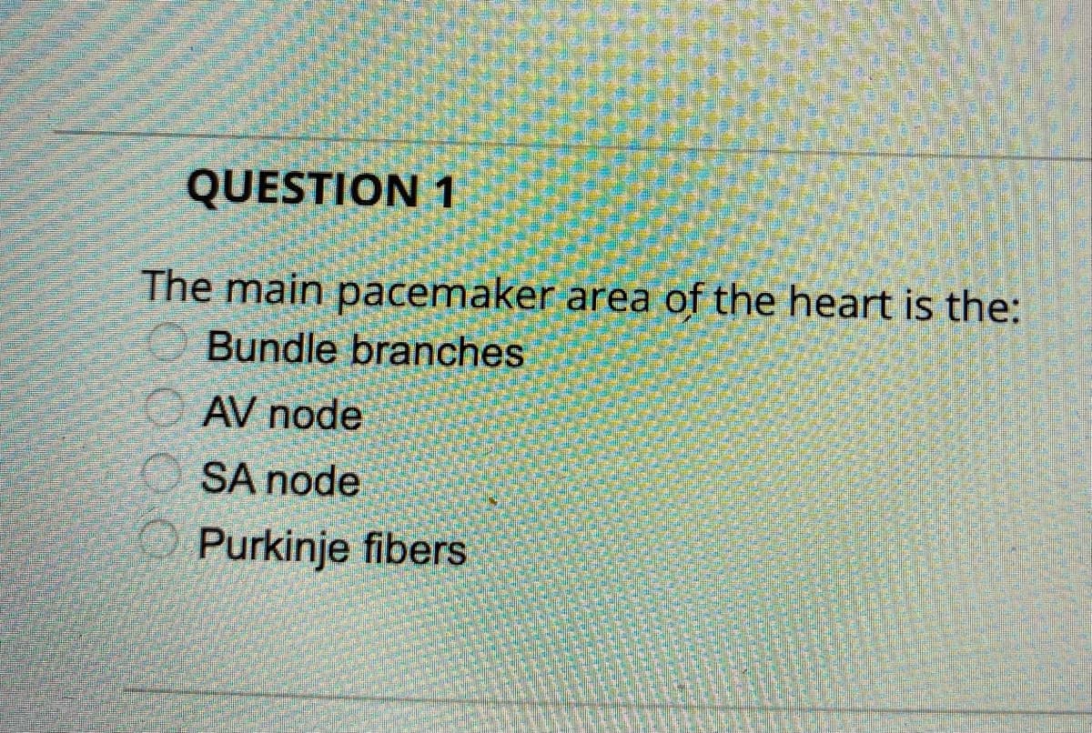 QUESTION 1
The main pacemaker area of the heart is the:
Bundle branches
AV node
SA node
O Purkinje fibers
