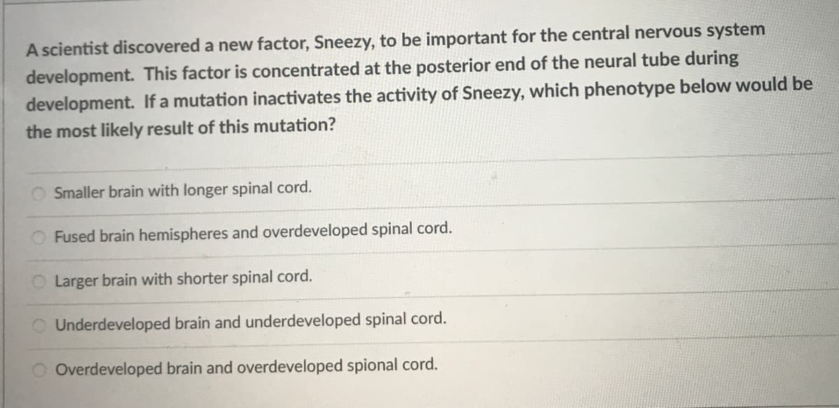 A scientist discovered a new factor, Sneezy, to be important for the central nervous system
development. This factor is concentrated at the posterior end of the neural tube during
development. If a mutation inactivates the activity of Sneezy, which phenotype below would be
the most likely result of this mutation?
Smaller brain with longer spinal cord.
Fused brain hemispheres and overdeveloped spinal cord.
Larger brain with shorter spinal cord.
Underdeveloped brain and underdeveloped spinal cord.
Overdeveloped brain and overdeveloped spional cord.

