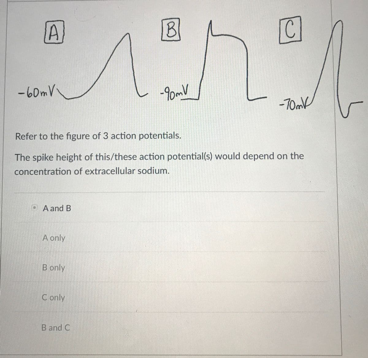 -60mV
-90mV
-70mk
Refer to the figure of 3 action potentials.
The spike height of this/these action potential(s) would depend on the
concentration of extracellular sodium.
A and B
A only
B only
C only
B and C
