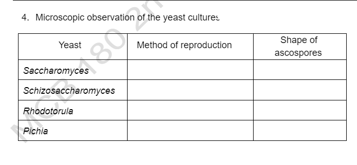 4. Microscopic observation of the yeast cultures
Shape of
Yeast
Method of reproduction
ascospores
Saccharomyces
Schizosaccharomyces
Rhodotorula
Pichia
