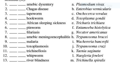 1.
amebic dysentery
a. Plasmodium vivax
2.
Chagas disease
b. Enterobius vermicularis
c. Onchocerca vovulus
d. Toxoplasma gondii
African sleeping sickness e. Trichuris trichiura
f. Entamoeba histolytica
g. Necator americanus
amebic meningoencephalitis h. Trypanosoma brucei
i. Wuchereria bancrofti
j. Trypanosoma cruzi
k. Taenia saginata
1. Naegleria fowleri
m. Trichinella spiralis
3.
tapeworm
hookworm
4.
5.
6.
- pinworm
7.
filariasis
8.
9.
malaria
10.
toxoplasmosis
11.
trichinellosis
12.
- whipworm
13.
river blindness
